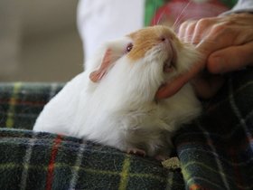 2020-01-04-3656 Jess.jpg